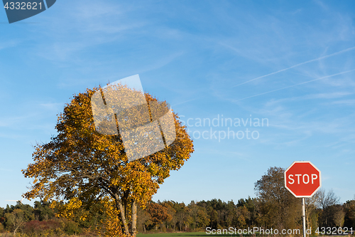 Image of Stop traffic sign in a colored landscape