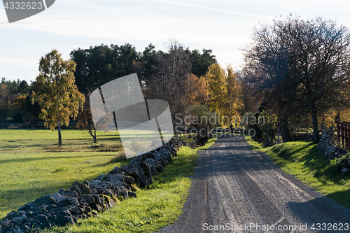 Image of Beautiful gravel road