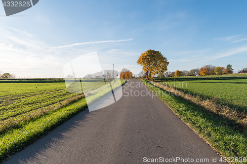 Image of Colotful fall season colored landscape