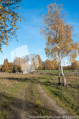 Image of Dirt road into a fall colored landscape