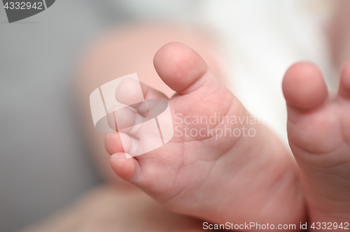 Image of Mothers hands holding newborn baby feet