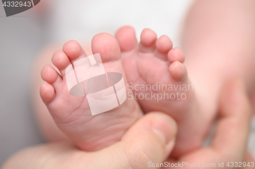 Image of Mothers hands holding newborn baby feet