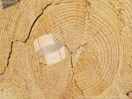 Image of log background