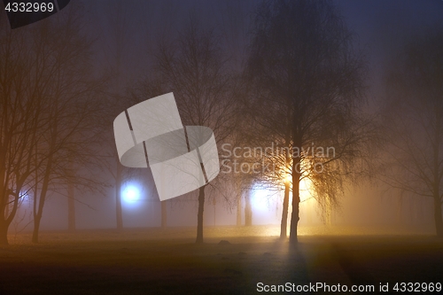 Image of Foggy Mysterious Night
