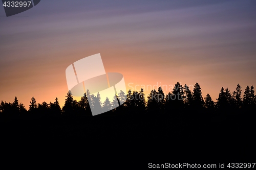 Image of Sunset over trees