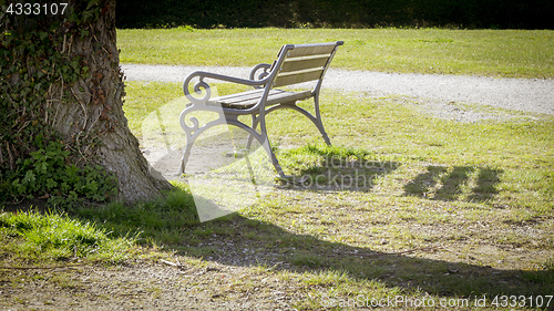 Image of lonely bench in a park