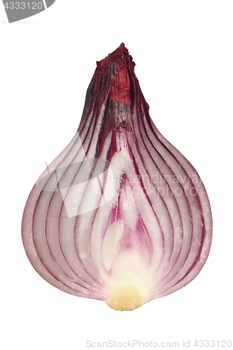 Image of Cut onion on white