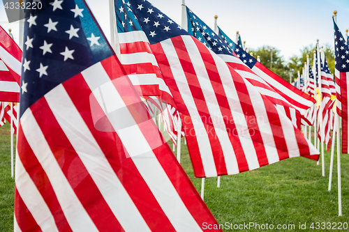 Image of Field of Veterans Day American Flags Waving in the Breeze.