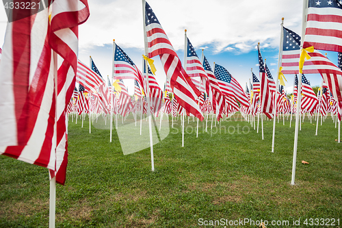 Image of Field of Veterans Day American Flags Waving in the Breeze.