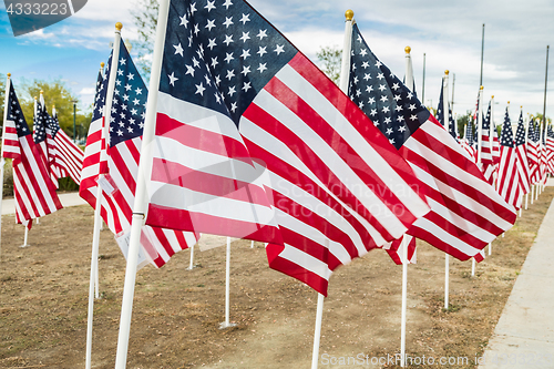 Image of Field of Veterans Day American Flags Waving in the Breeze.