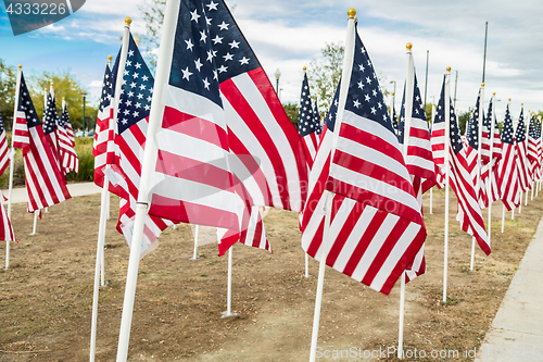 Image of Field of Veterans Day American Flags Waving in the Breeze.