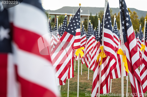 Image of Field of Veterans Day American Flags Waving in the Breeze.