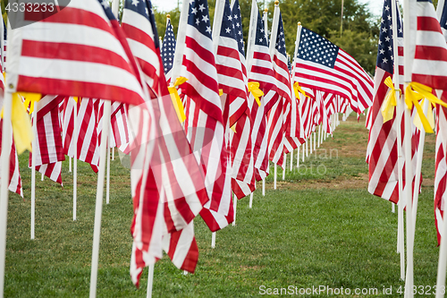 Image of Field of Veterans Day American Flags Waving in the Breeze.