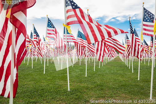 Image of Field of Veterans Day American Flags Waving in the Breeze.