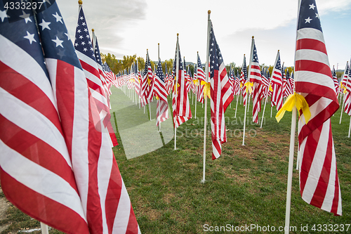 Image of Field of Veterans Day American Flags Waving in the Breeze.