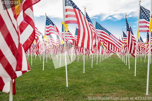 Image of Field of Veterans Day American Flags Waving in the Breeze.