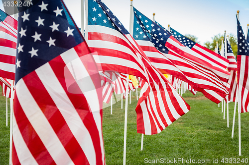 Image of Field of Veterans Day American Flags Waving in the Breeze.
