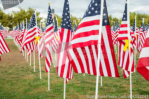 Image of Field of Veterans Day American Flags Waving in the Breeze.