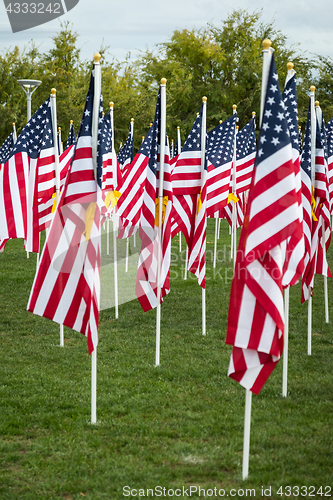 Image of Field of Veterans Day American Flags Waving in the Breeze.