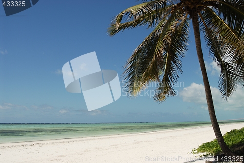 Image of Zanzibar beach