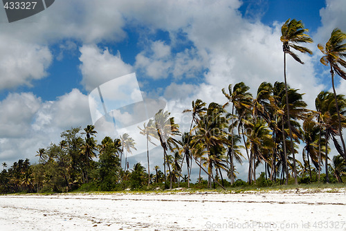 Image of Zanzibar beach