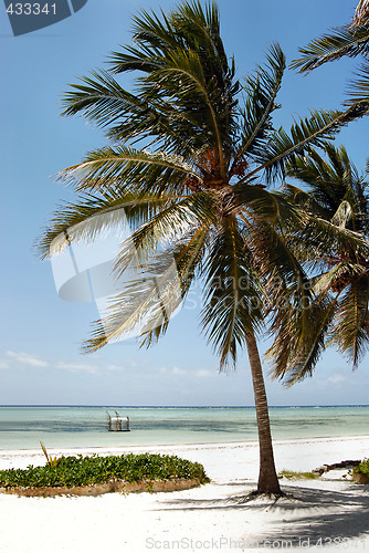 Image of Zanzibar beach