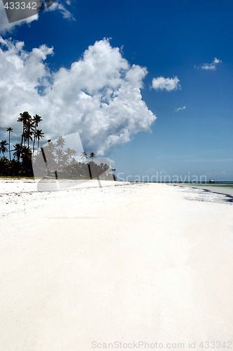 Image of Zanzibar beach