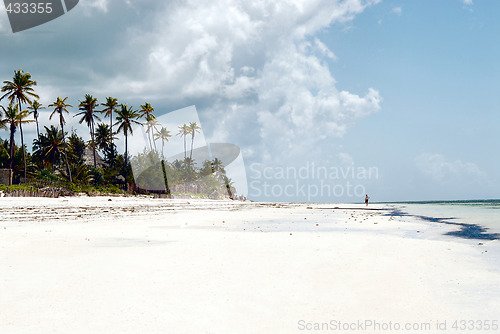 Image of Zanzibar beach