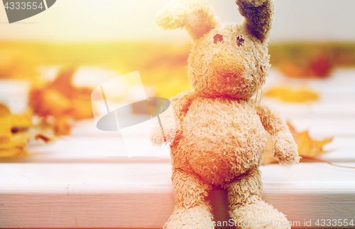 Image of close up of toy rabbit on bench in autumn park