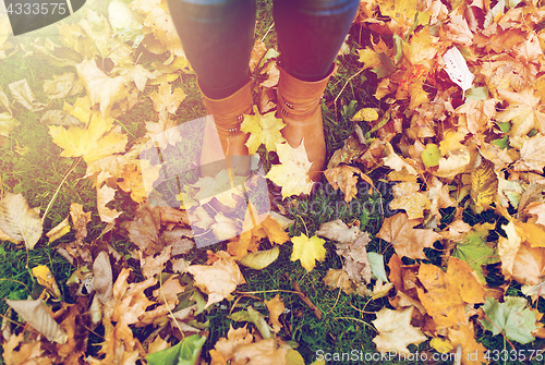 Image of female feet in boots and autumn leaves