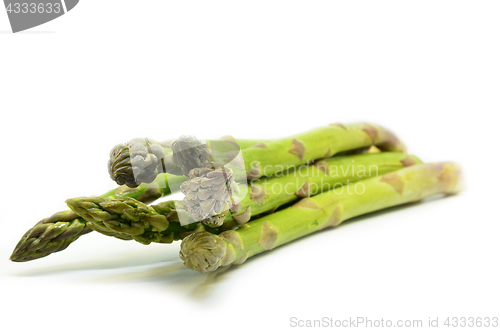 Image of Delicious isolated asparagus