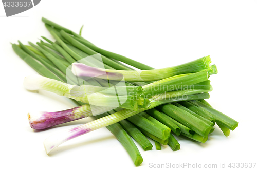 Image of Fresh spring onions