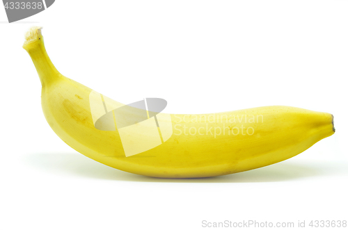 Image of Yellow bananas isolated