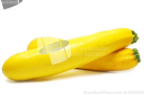 Image of Yellow squash isolated