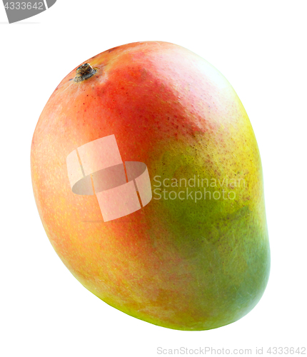 Image of Colorful mango fruit