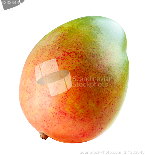 Image of Colorful mango fruit