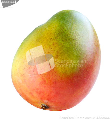 Image of Colorful mango fruit