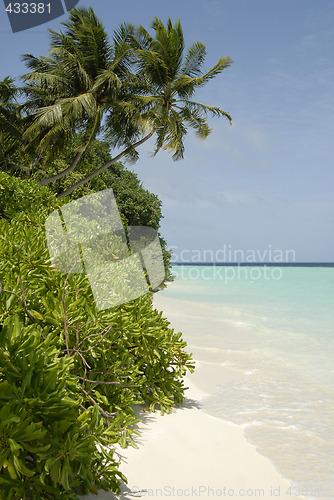 Image of Maldives