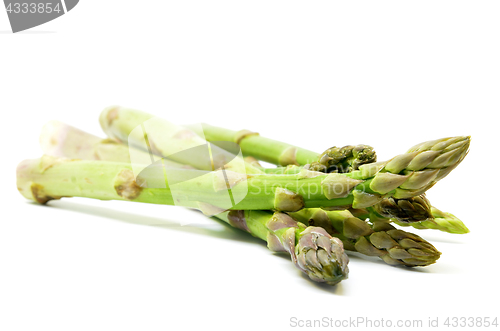 Image of Delicious isolated asparagus