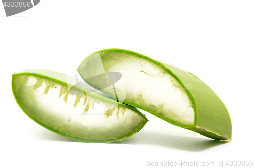 Image of Aloe vera fresh leaf isolated