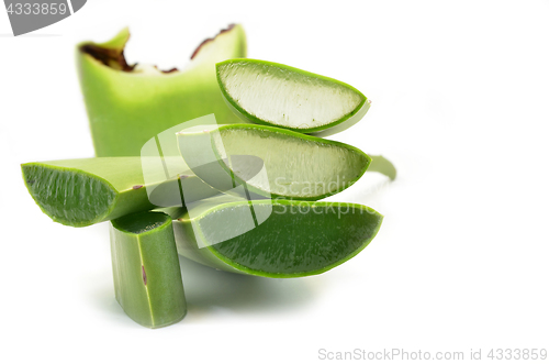 Image of Aloe vera fresh leaf isolated