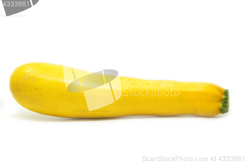 Image of Yellow squash isolated