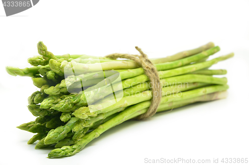 Image of Bundle of green asparagus shoots