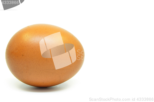 Image of Single chicken egg 