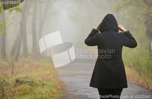 Image of Woman In A Foggy Forest 