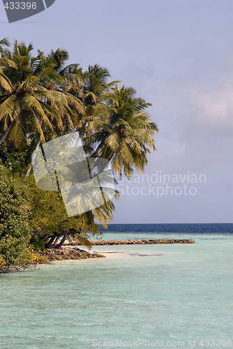 Image of Maldives