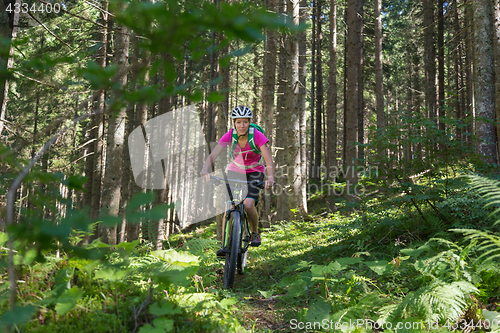 Image of Active sporty woman riding mountain bike on forest trail .