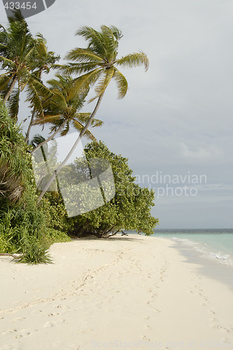 Image of Maldives