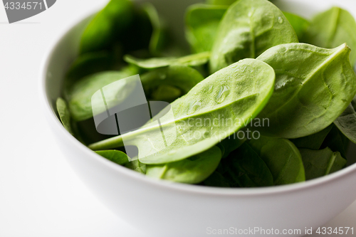 Image of close up of spinach leaves in white bowl