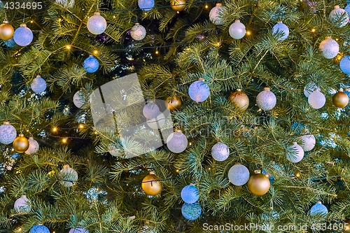 Image of Christmas Tree Decoration